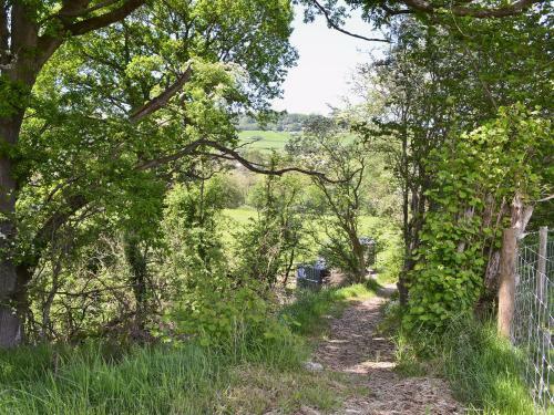 Ty Bach Shepherds Hut