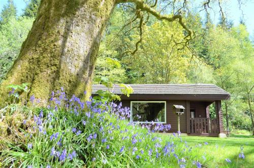 Ard Darach Lodge