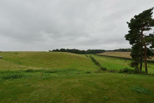 The Dairy