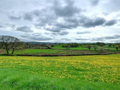Holiday Home Llangadog