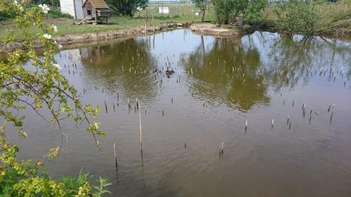 Agroturismo Pidley Bottom Cottages & Shepherd's Huts
