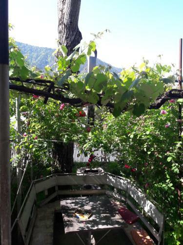 Hostal Rachvela's Guest House