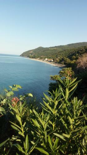 Apartamento Paliouria Hotel