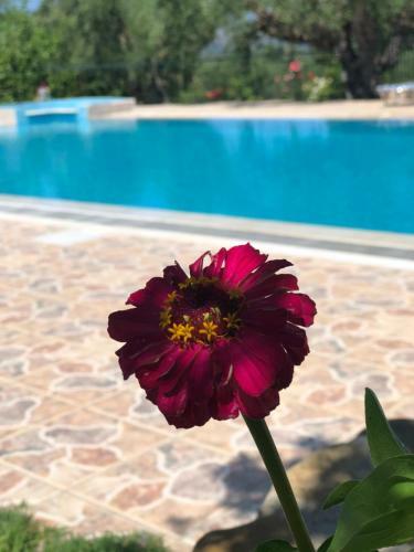 Apartamento Villa Panos