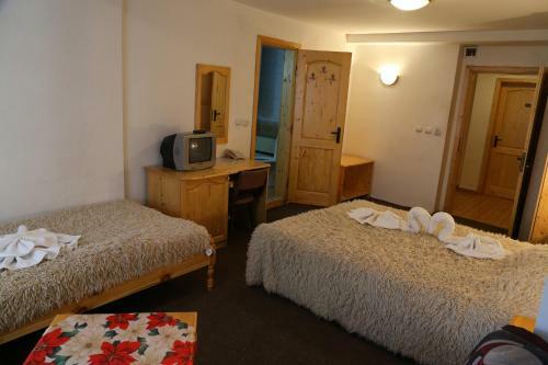 Family Hotel Bisser