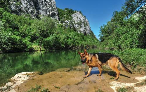 Holiday Home Kresevo 23