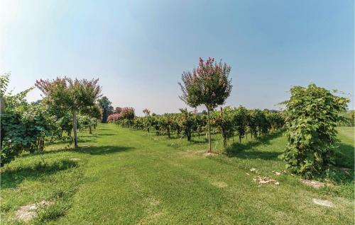 Country House Antica Vigna