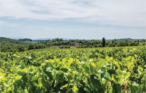 Sangiovese