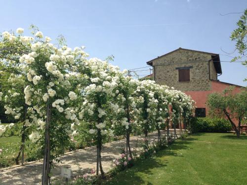 Agroturismo Agriturismo Casale Le Selvette