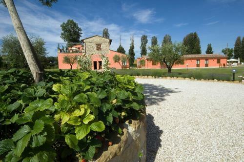 Agroturismo Agriturismo Casale Le Selvette