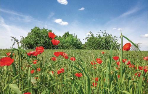 Four-bedroom Holiday Home In Cuccaro Monferrato Al