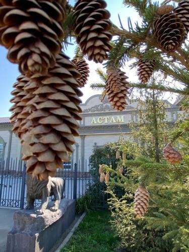 Hotel Astam