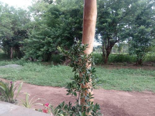 Motel Wilpattu Buma
