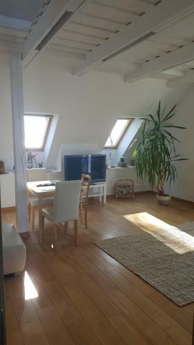 Mari? Apartamentai