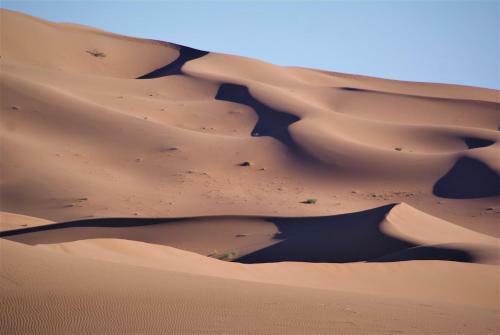 Lodge Ghazala Luxury Camp