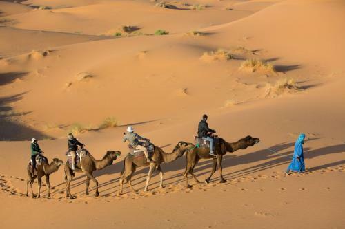 Lodge Ghazala Luxury Camp