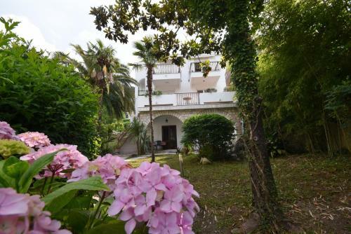 Apartman Taraca Villa Knezevic