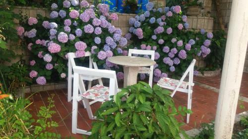 Apartman Taraca Villa Knezevic