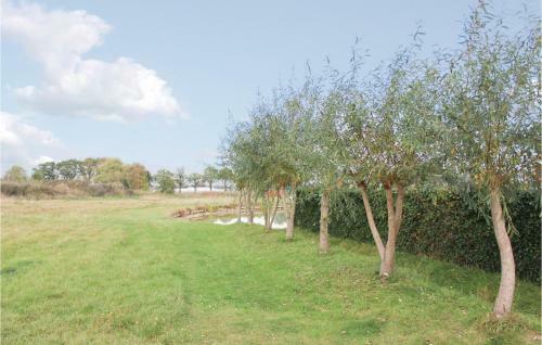 Two-bedroom Holiday Home In Molenschot