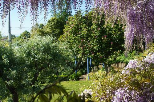 Rose Cottage B&B