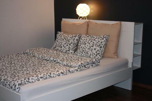 Apartament Boles?awiec