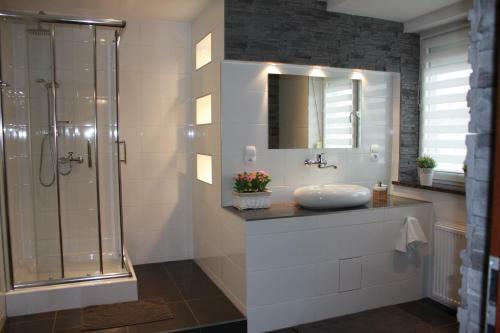 Apartament Boles?awiec