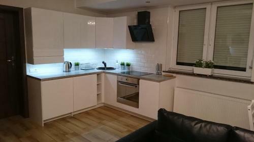 Apartament Boles?awiec