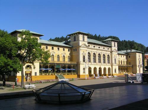 Hotel Stary Dom Zdrojowy