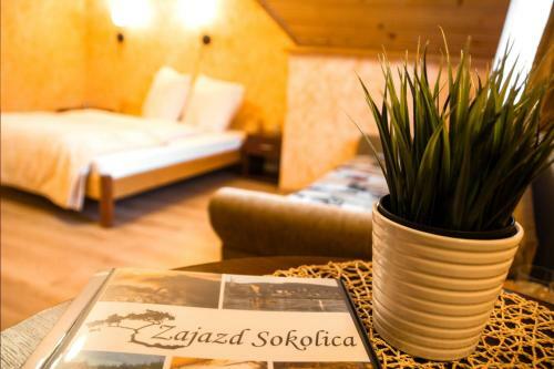Posada Zajazd Sokolica
