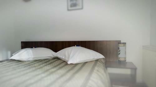 Hostal Pensiunea Perla Ariesului