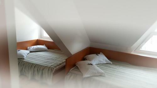 Hostal Pensiunea Perla Ariesului