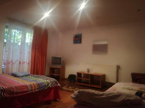 Hostal Pensiunea Alexa