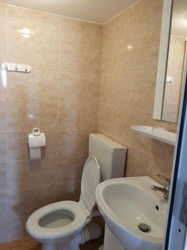 Hostal Pensiunea Alexa