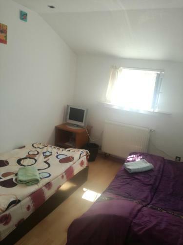 Hostal Pensiunea Alexa