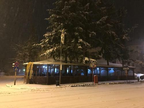Hostal Pensiunea Mioritza