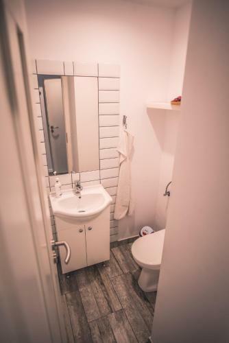 Apartamento Teodoroiu Nr. 5