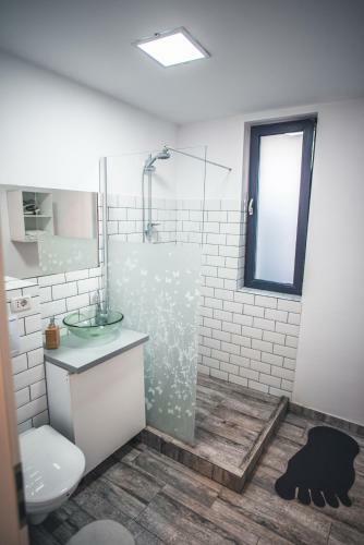Apartamento Teodoroiu Nr. 5