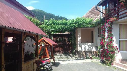 Hostal Pensiunea R?zvan