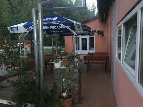 Hostal Vila Tanamera