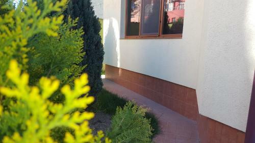 Hostal Pensiunea Alegria