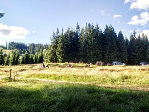 Pensiunea Agroturistica Casa Runc