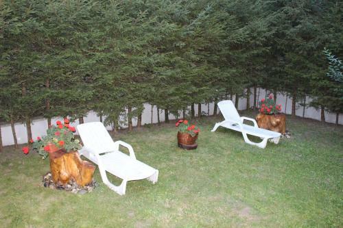 Hostal Pensiunea Colina