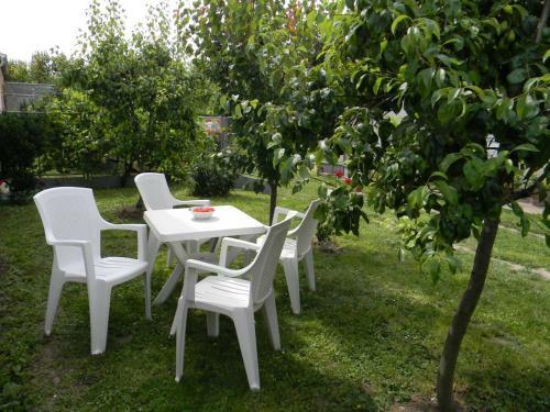 Apartment Gordana Stevanovic
