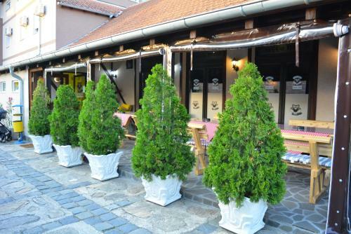 Hostal Deltix Apartments