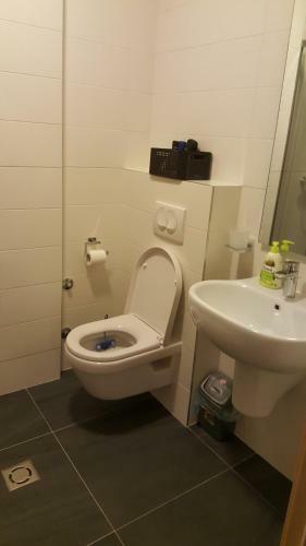 Apartment Evropa