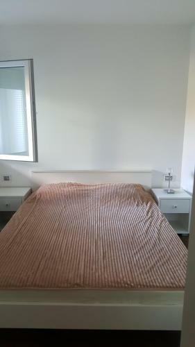Apartment Evropa