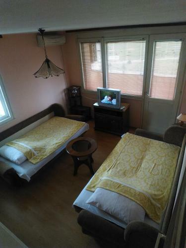 Apartman Tea