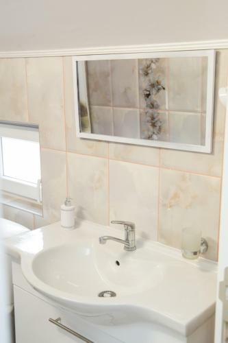 Apartmani "roshu"