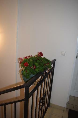 Bed & Breakfast Nadja