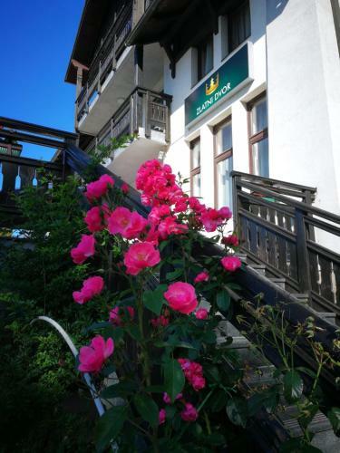 Bed & Breakfast Zlatni Dvor